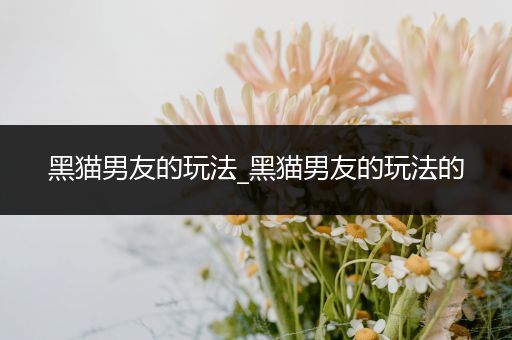 黑猫男友的玩法_黑猫男友的玩法的