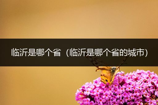 临沂是哪个省(临沂是哪个省的城市)