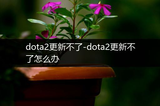 dota2更新不了-dota2更新不了怎么办