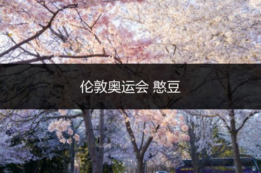 伦敦奥运会 憨豆