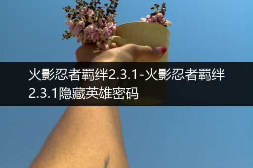 火影忍者羁绊2.3.1-火影忍者羁绊2.3.1隐藏英雄密码