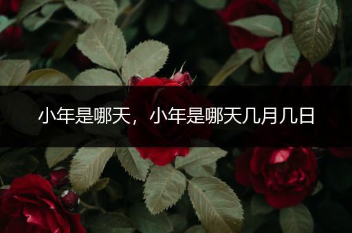 小年是哪天,小年是哪天几月几日