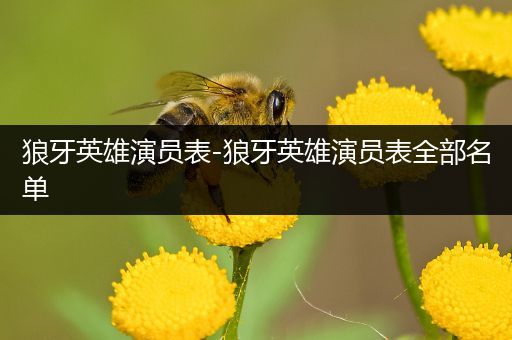 狼牙英雄演员表-狼牙英雄演员表全部名单