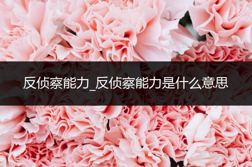 反侦察能力_反侦察能力是什么意思