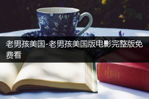老男孩美国-老男孩美国版电影完整版免费看