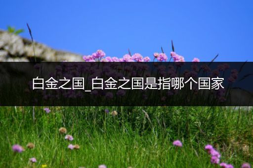 白金之国_白金之国是指哪个国家