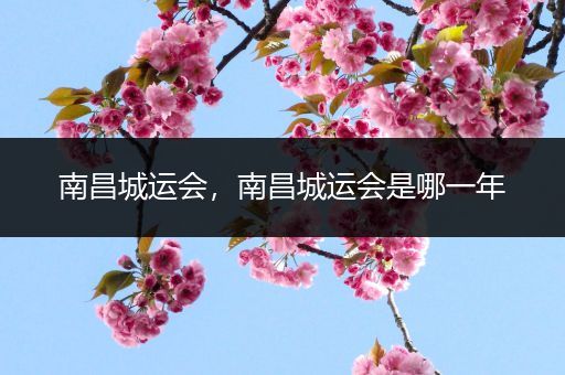 南昌城运会,南昌城运会是哪一年