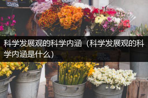 科学发展观的科学内涵(科学发展观的科学内涵是什么)
