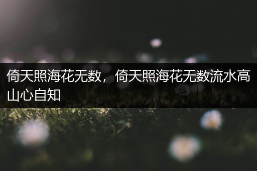 倚天照海花无数,倚天照海花无数流水高山心自知