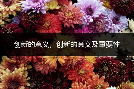 创新的意义,创新的意义及重要性