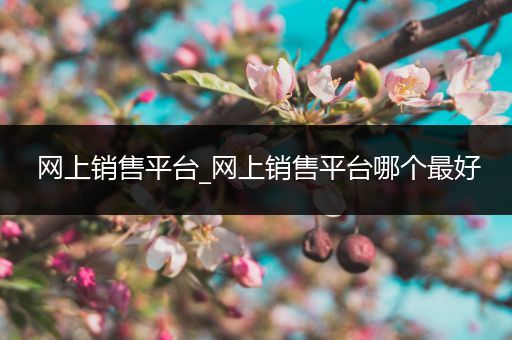 网上销售平台_网上销售平台哪个最好