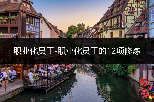 职业化员工-职业化员工的12项修炼