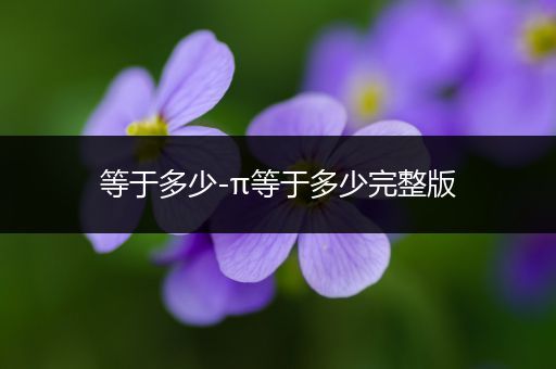 等于多少-π等于多少完整版