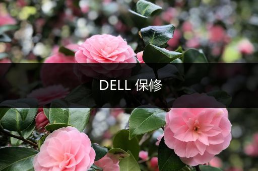 DELL 保修