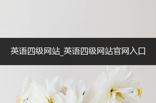 英语四级网站_英语四级网站官网入口