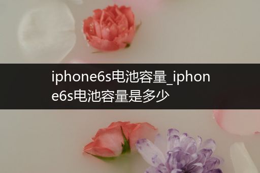 iphone6s电池容量_iphone6s电池容量是多少
