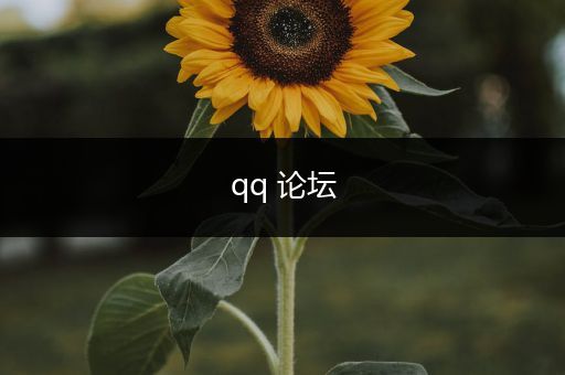 qq 论坛