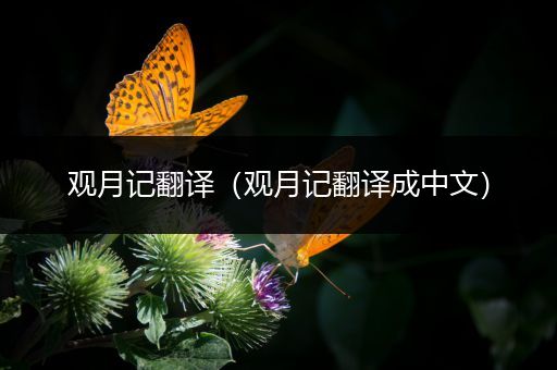观月记翻译(观月记翻译成中文)