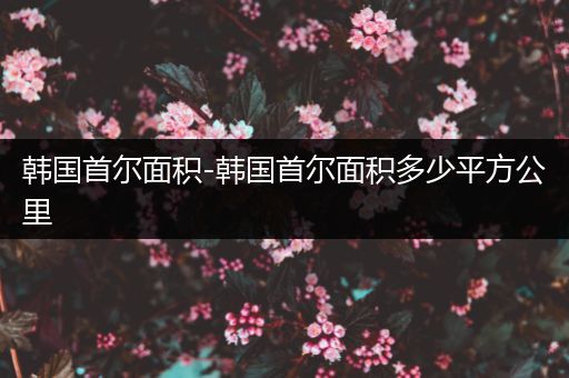 韩国首尔面积-韩国首尔面积多少平方公里