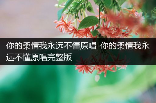 你的柔情我永远不懂原唱-你的柔情我永远不懂原唱完整版