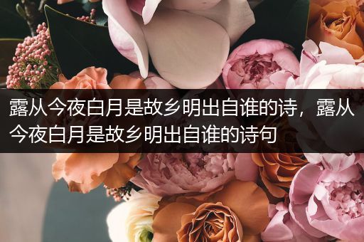 露从今夜白月是故乡明出自谁的诗,露从今夜白月是故乡明出自谁的诗句