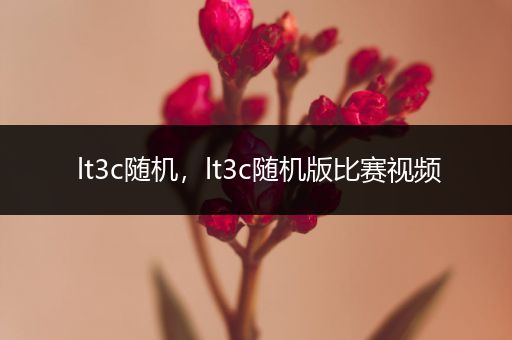 lt3c随机,lt3c随机版比赛视频