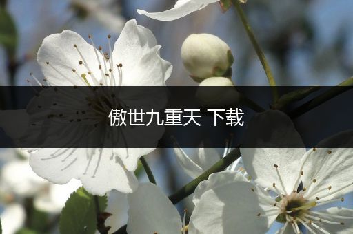 傲世九重天 下载