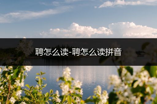 聘怎么读-聘怎么读拼音