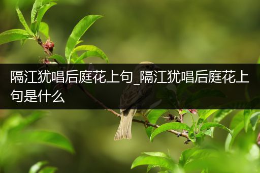 隔江犹唱后庭花上句_隔江犹唱后庭花上句是什么