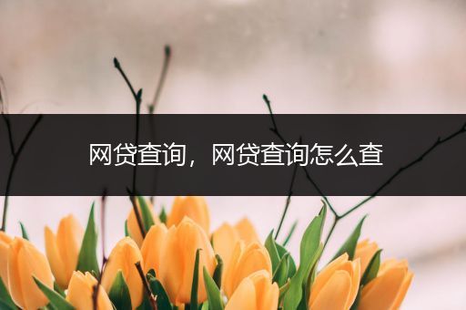 网贷查询,网贷查询怎么查