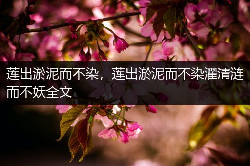 莲出淤泥而不染,莲出淤泥而不染濯清涟而不妖全文