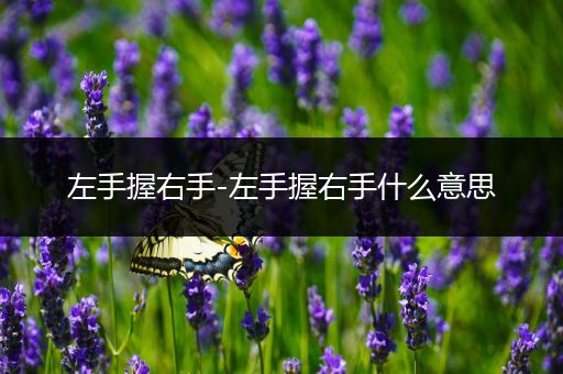 左手握右手-左手握右手什么意思