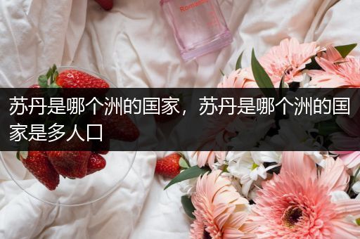 苏丹是哪个洲的国家,苏丹是哪个洲的国家是多人口