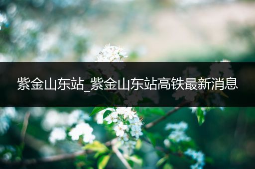 紫金山东站_紫金山东站高铁最新消息