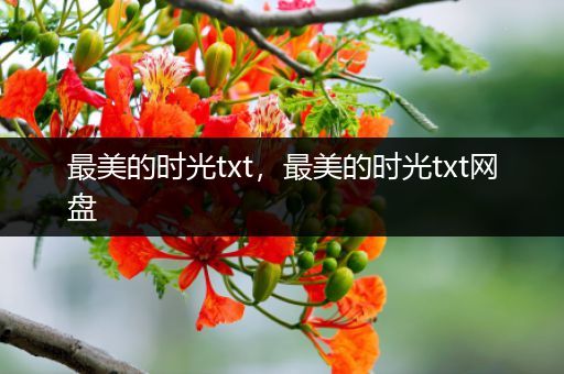 最美的时光txt,最美的时光txt网盘
