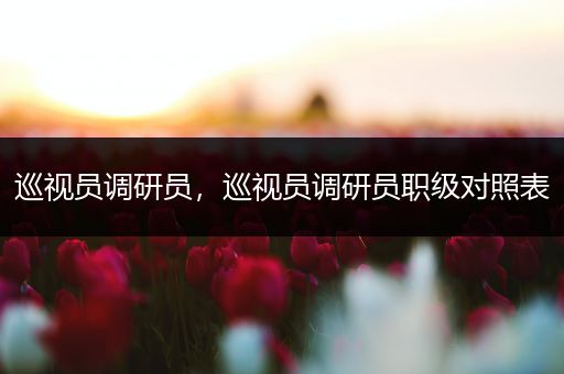 巡视员调研员,巡视员调研员职级对照表