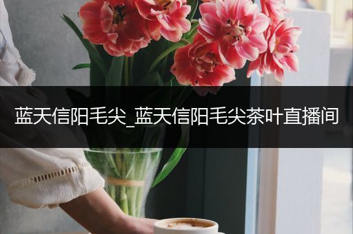 蓝天信阳毛尖_蓝天信阳毛尖茶叶直播间