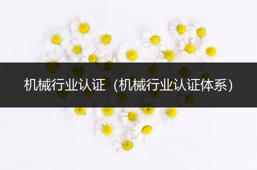 机械行业认证(机械行业认证体系)