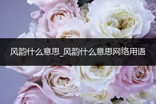 风韵什么意思_风韵什么意思网络用语