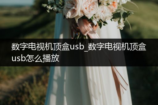 数字电视机顶盒usb_数字电视机顶盒usb怎么播放