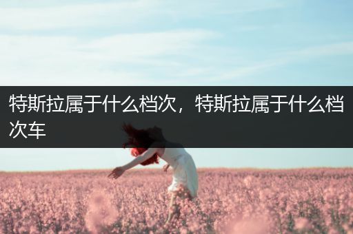 特斯拉属于什么档次,特斯拉属于什么档次车