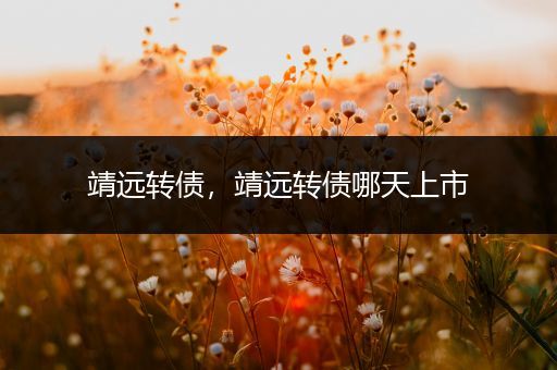 靖远转债,靖远转债哪天上市