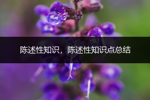 陈述性知识,陈述性知识点总结