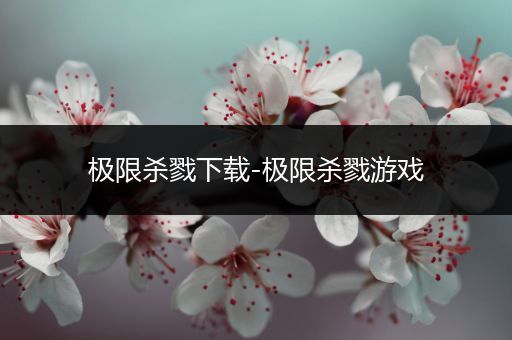 极限杀戮下载-极限杀戮游戏