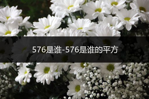 576是谁-576是谁的平方