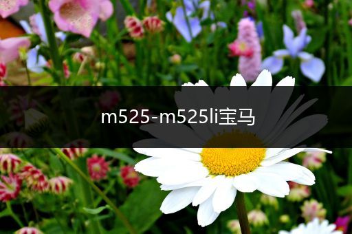 m525-m525li宝马