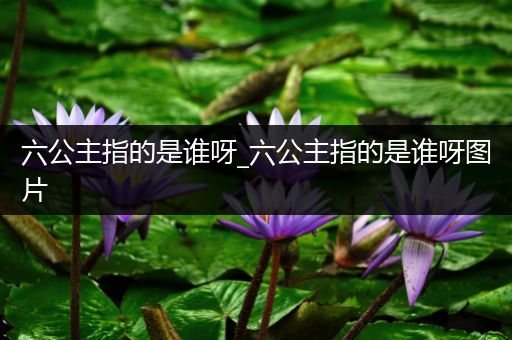 六公主指的是谁呀_六公主指的是谁呀图片