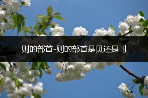 则的部首-则的部首是贝还是刂