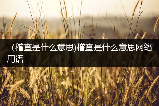 (稽查是什么意思)稽查是什么意思网络用语