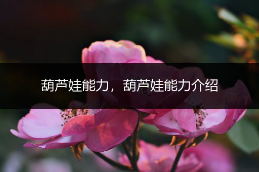 葫芦娃能力,葫芦娃能力介绍